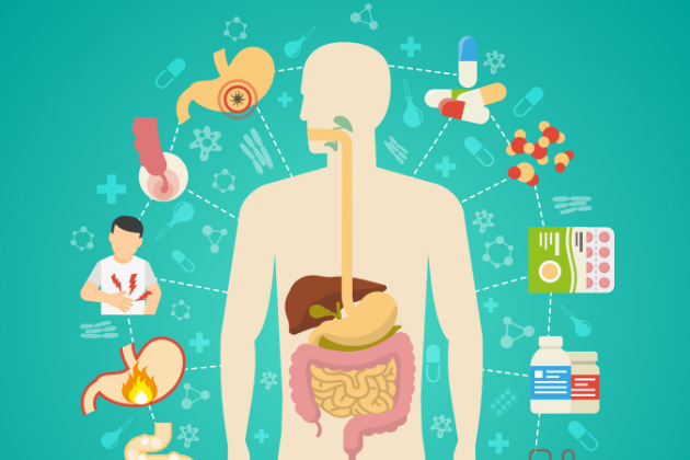 A Roadmap to Digestive Wellness: Easy Tips for a Happy Gut