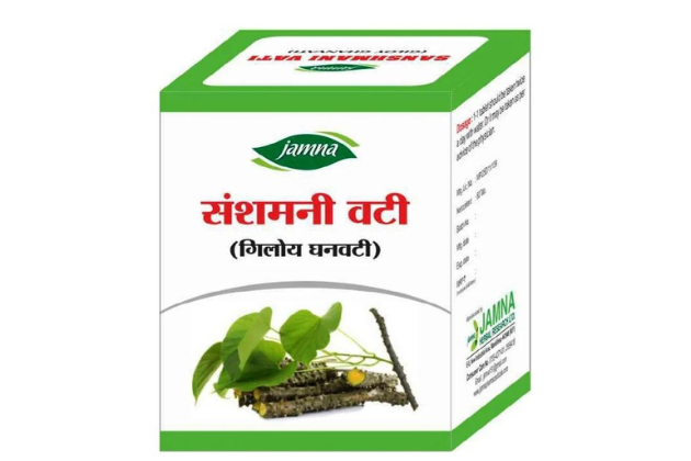 Why is Giloy Ghan Vati the Best Ayurvedic Tablet for Immunity?