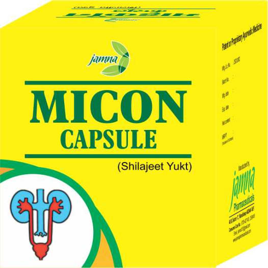 Jamna MICON CAPSULE SHILAJEET YUKT Jar of 1000 QTY