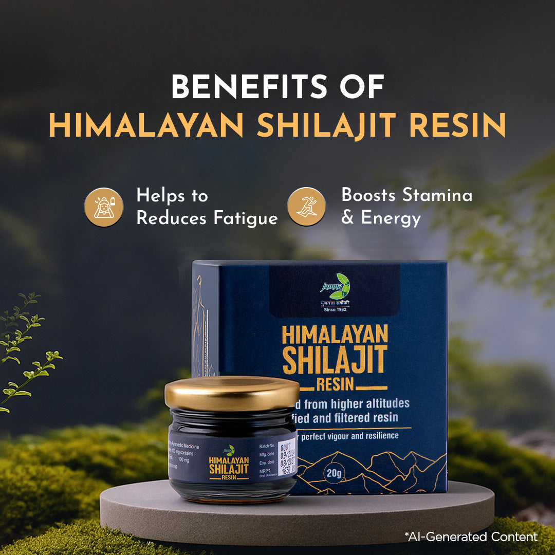 Jamna Himalayan Shilajit Resin