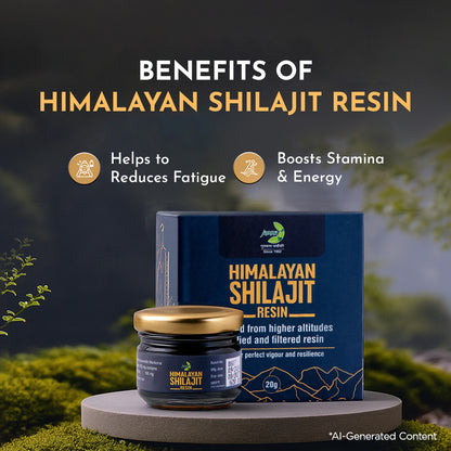 Jamna Himalayan Shilajit Resin