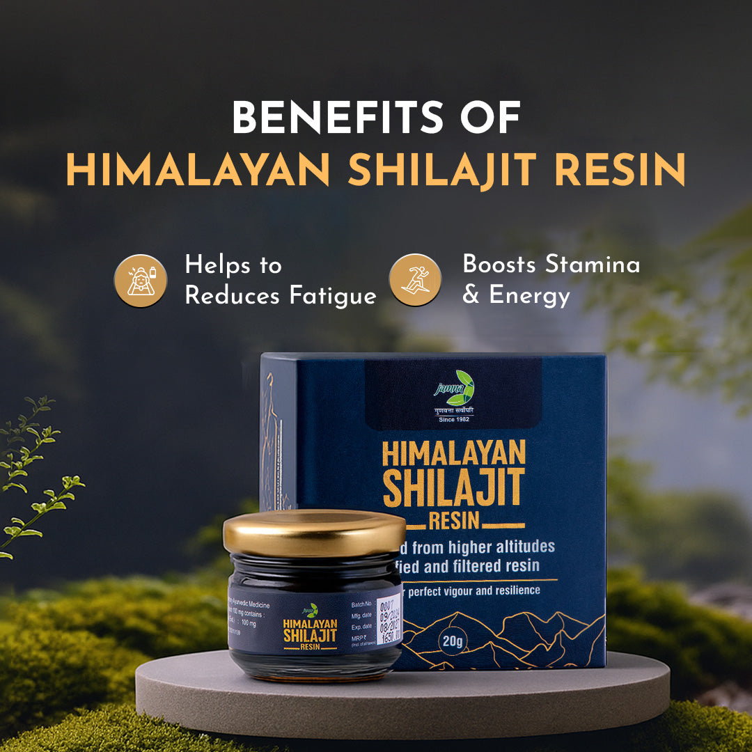 Jamna Himalayan Shilajit Resin