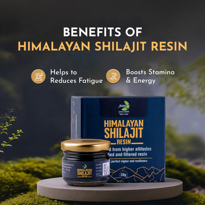 Jamna Himalayan Shilajit Resin