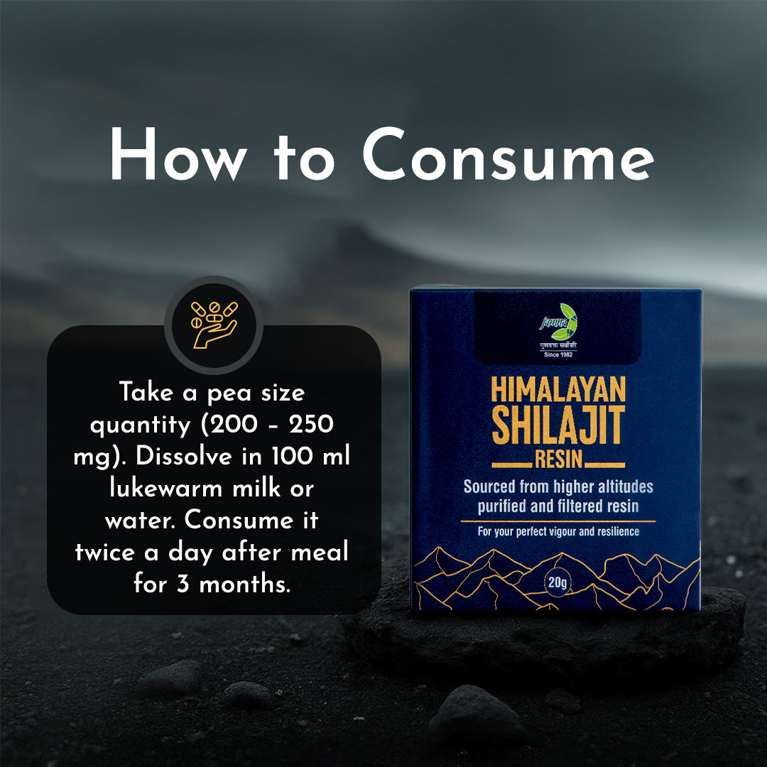 Jamna Himalayan Shilajit Resin