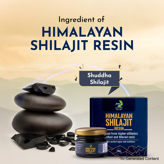Jamna Himalayan Shilajit Resin