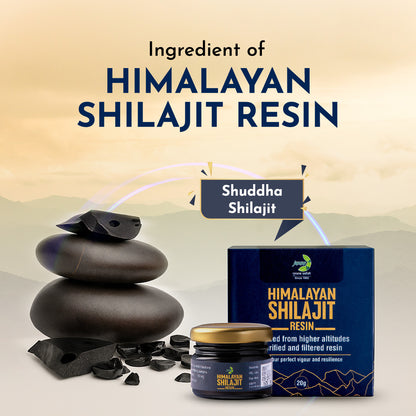 Jamna Himalayan Shilajit Resin