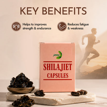 Shilajit Capsules (plain)