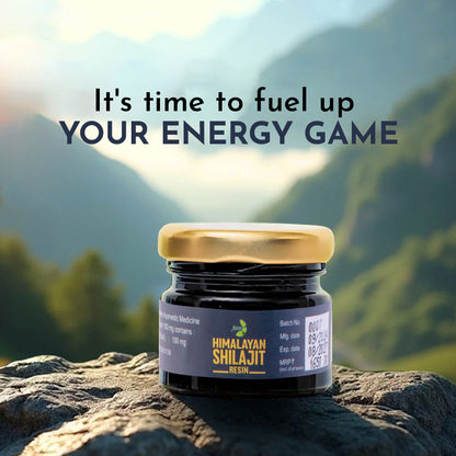 Jamna Himalayan Shilajit Resin