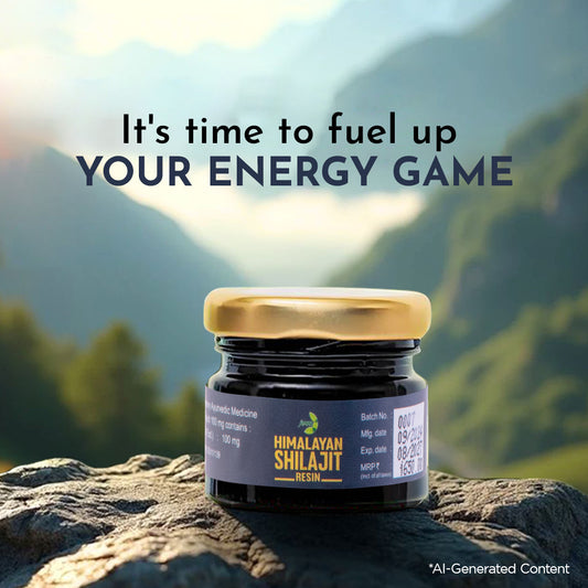 Jamna Himalayan Shilajit Resin